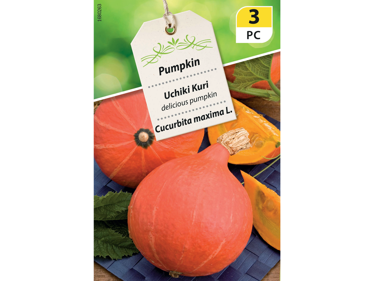 Pumpkin seeds for Uchiki Kuri, a delicious pumpkin, with 3 pieces per pack.