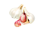 White and red garlic cloves.