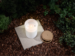 LIVARNO home LED grave light on stone with mulch and greenery