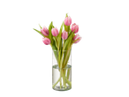 Tulipas rosas em um vaso de vidro.