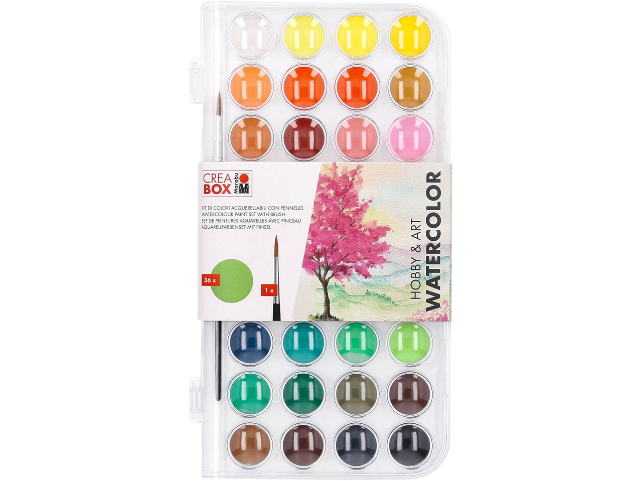 Colori acquerellabili o pastelli a cera ad olio