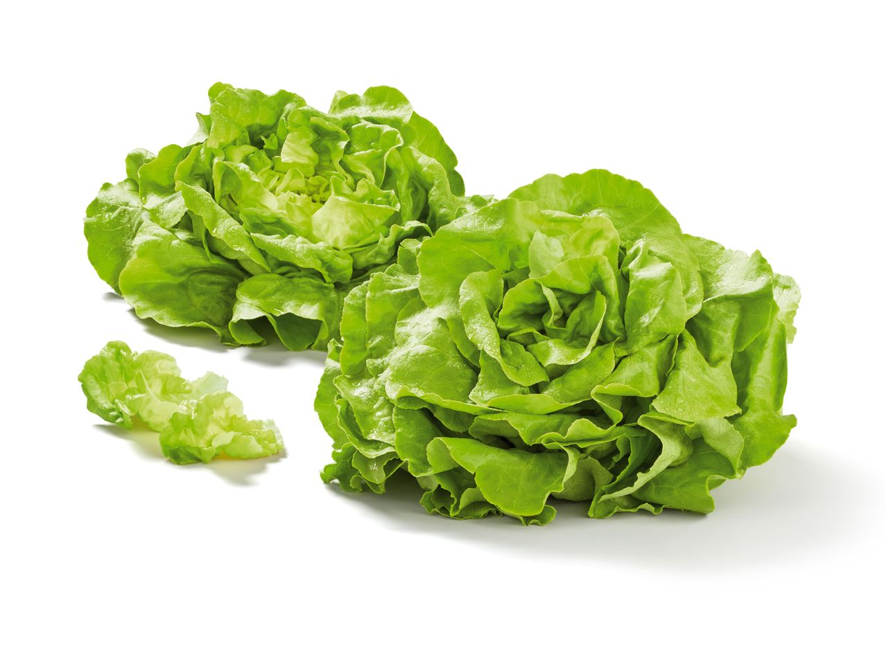 Dve glavice zelene salate sa nekoliko listova sa strane na beloj pozadini