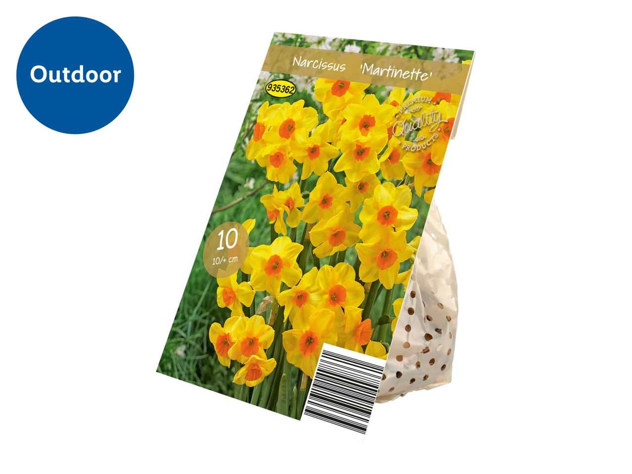 A package of Narcissus 'Martinette' bulbs for outdoor planting.