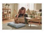 Man petting a dog on a light blue dog bed in a living room with a sofa and shelf.