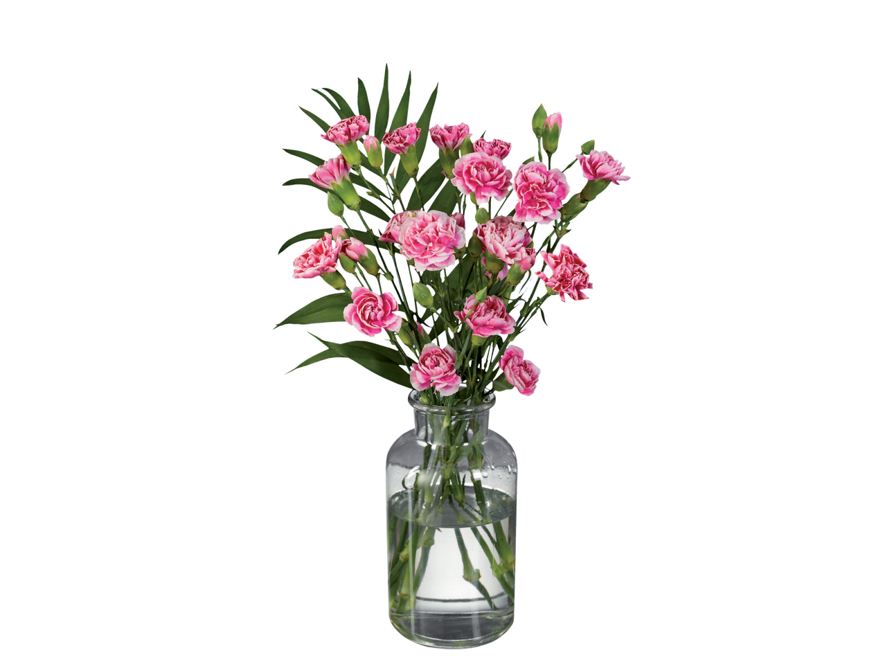 Buchet de garoafe roz într-o vază de sticlă.