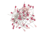 Pink and magenta sewing pins.