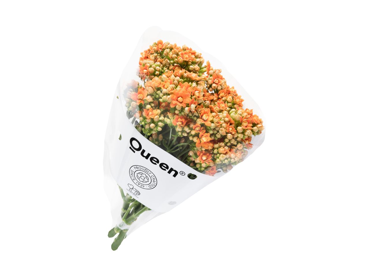 En buket orange Kalanchoe-blomster pakket ind i plastik med et 'Queen'-mærke.