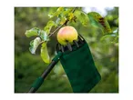 Apple picker with a green bag harvesting an apple from a tree.