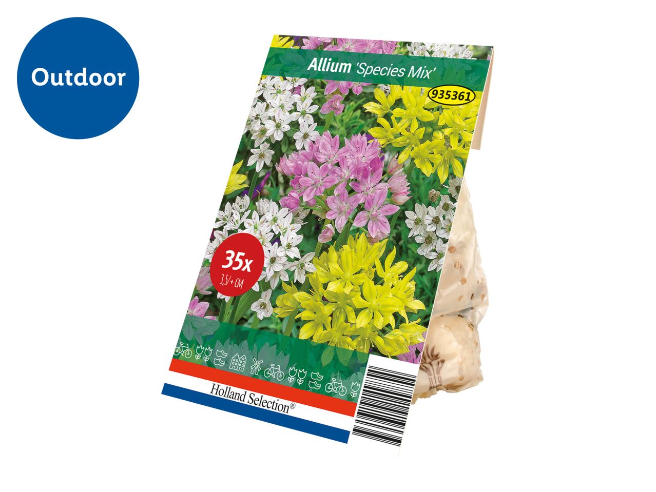 A package of Allium 'Species Mix' bulbs from Holland Selection, suitable for outdoor planting.