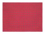 Red and white checkered fabric placemat