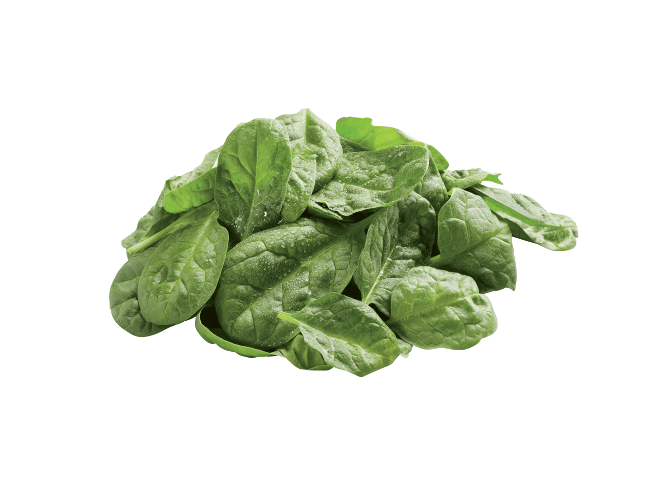 Kuhjake värskeid, veepiiskadega spinatilehti mustal taustal