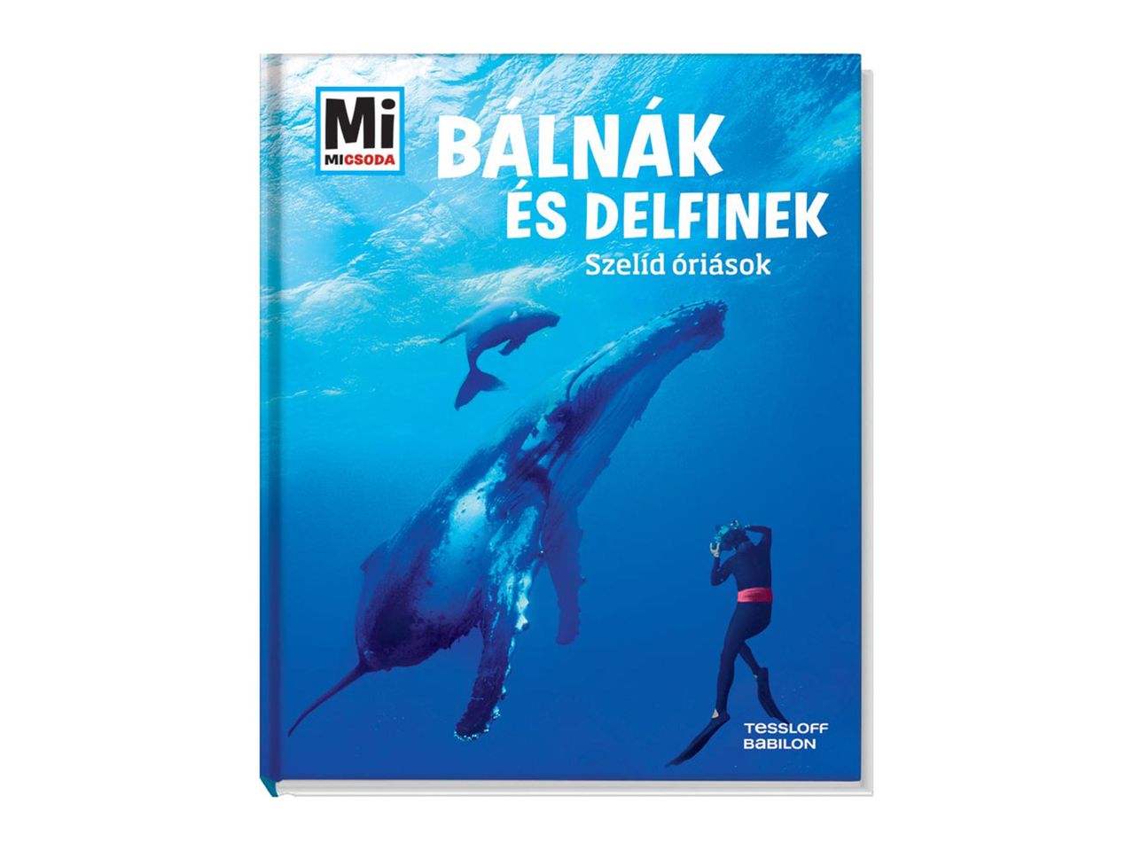 Bálnák és delfinek című könyv a Mi Műhely sorozatból.