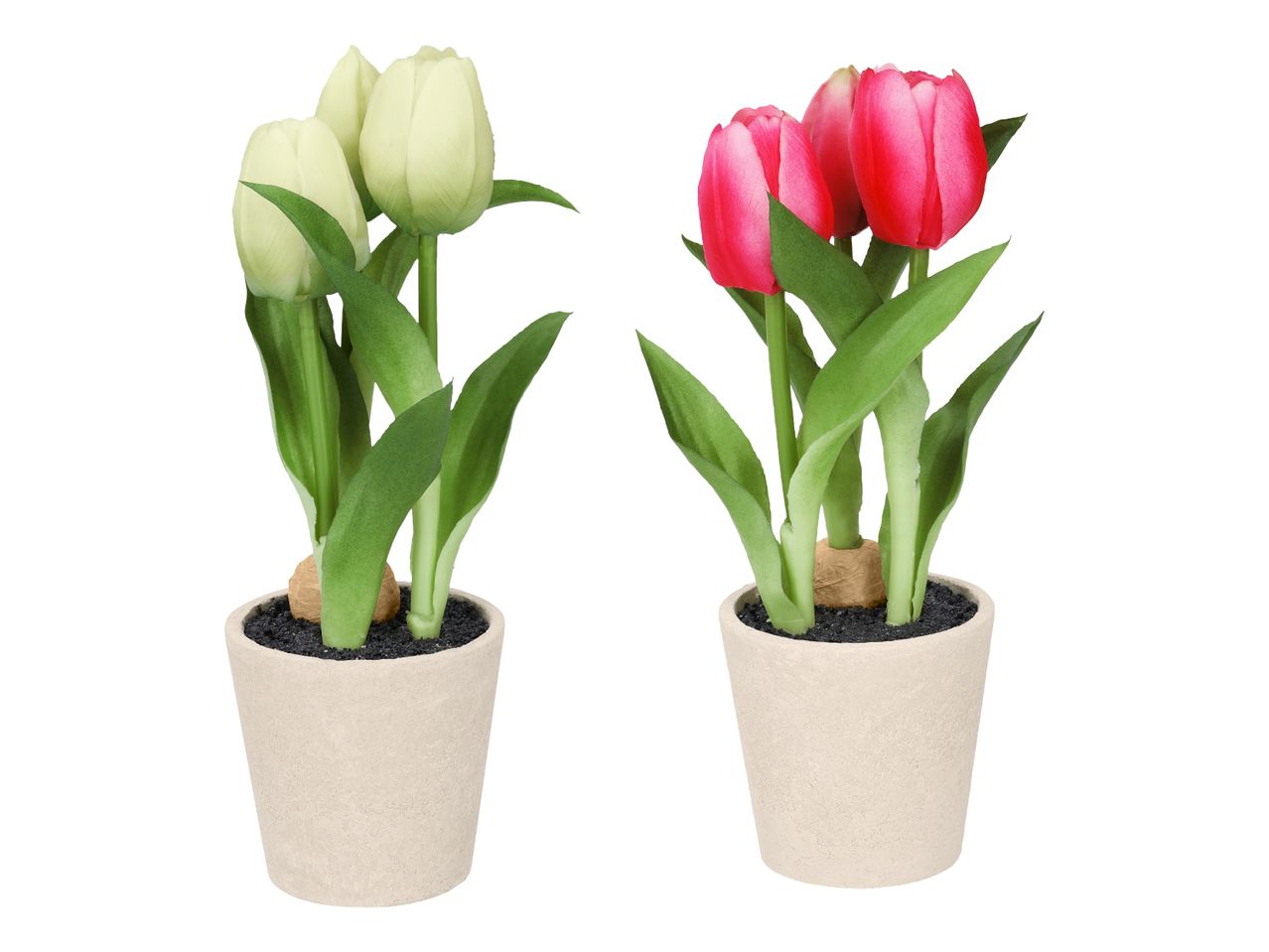 Zwei Topfpflanzen mit künstlichen Tulpen, eine mit weißen und eine mit roten Blüten.