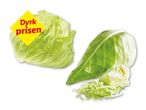 Iceberg salat og spidskål med teksten 'Dyrk prisen' på en gul etiket.