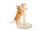Ginger cat playing with a scratching post with a hanging toy.