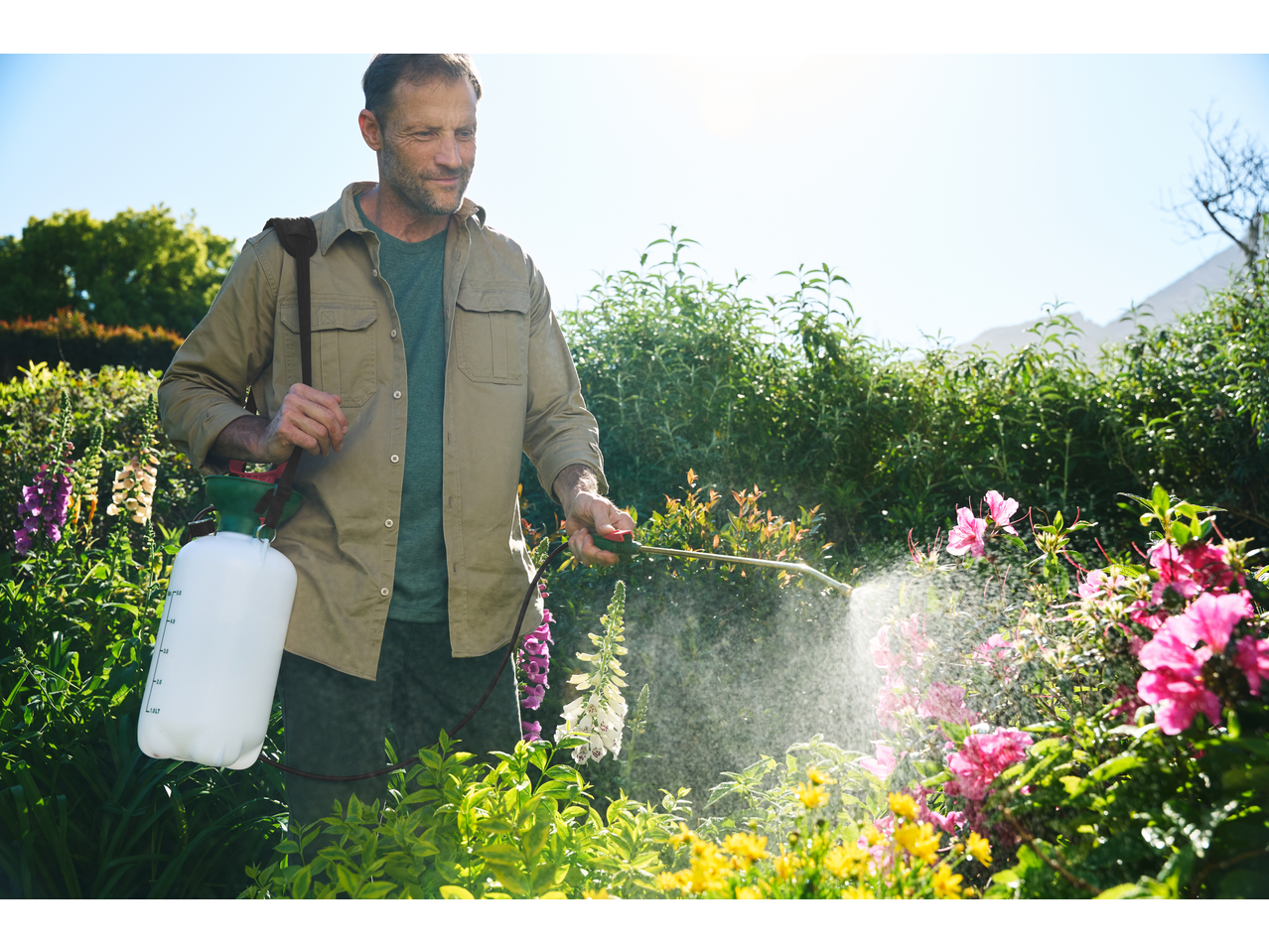 Man using a Parkside® Garden Pressure Sprayer on plants in a sunny garden.
