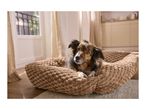 Fluffy brown dog resting in a cozy, textured brown dog bed on a wooden floor.