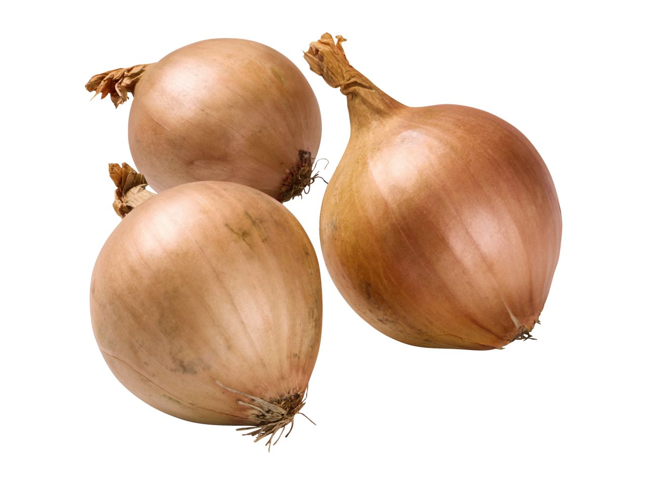 Three fresh, light brown onions with papery skins and roots, isolated on a white background.