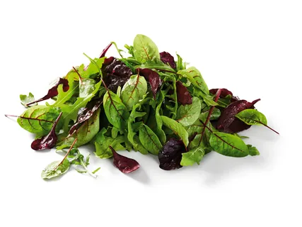 Salat-Mix