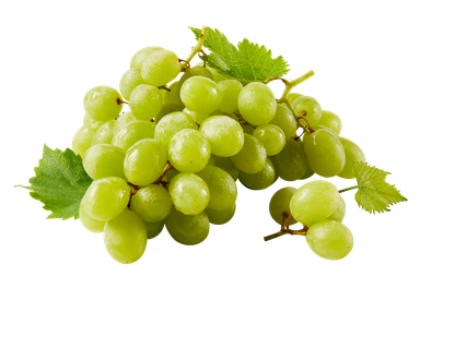 Hele viinamari seemneteta