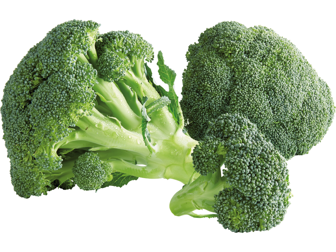 Två broccolibuketter.
