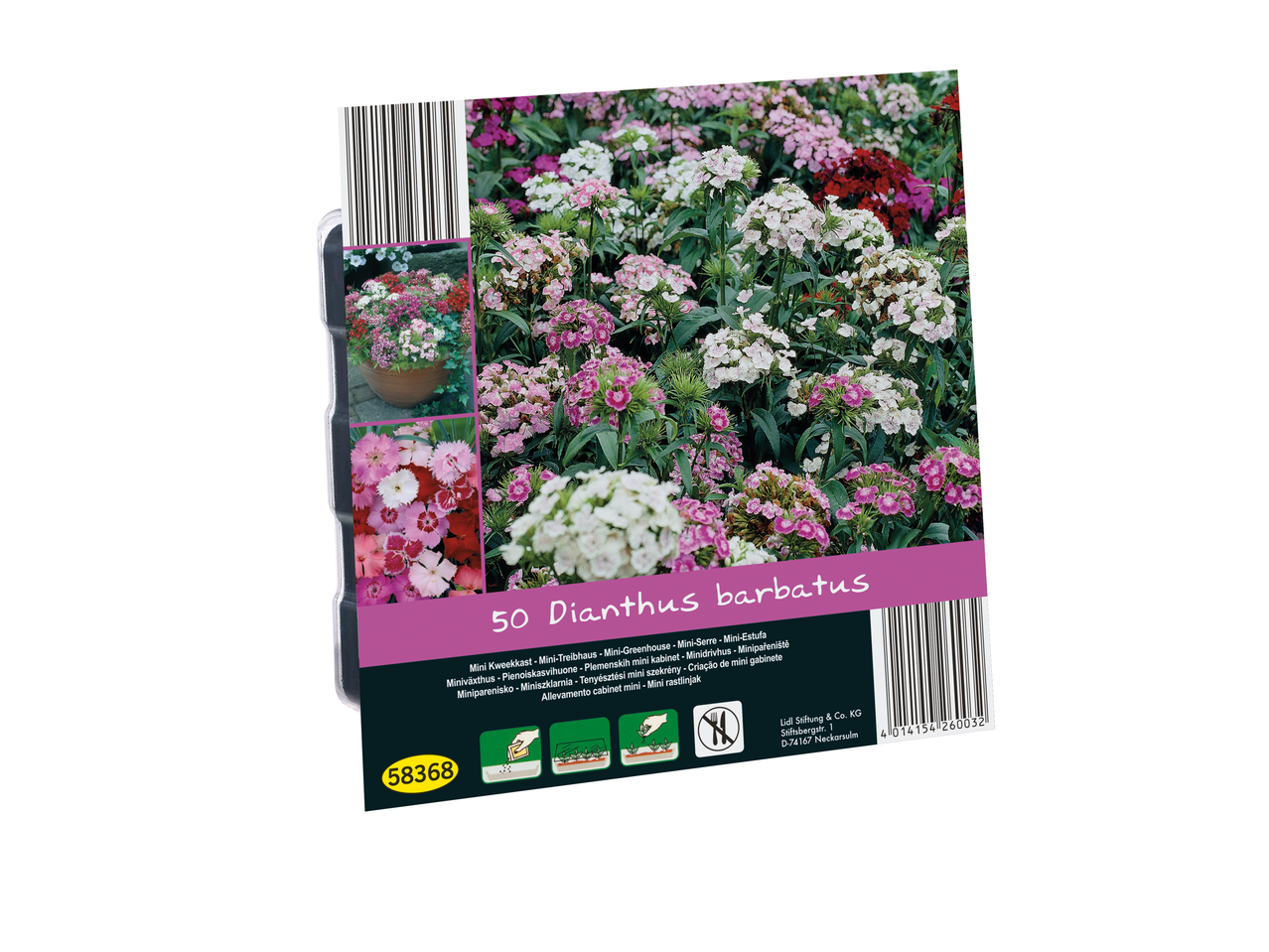 Seed packet for 50 Dianthus barbatus (Sweet William) with planting instructions.