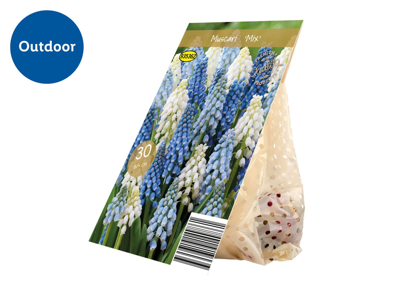Muscari 'Mix' flower bulbs in packaging, labeled for outdoor use.
