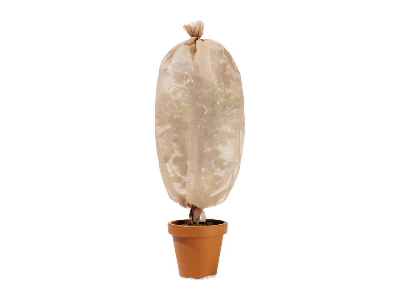 Potted plant wrapped in a protective beige winter fleece cover