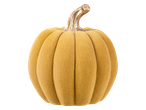 A golden velvet pumpkin with a metallic stem on a black background.