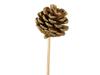 Golden glitter pine cone on a stick, part of a Christmas dried pick mix.
