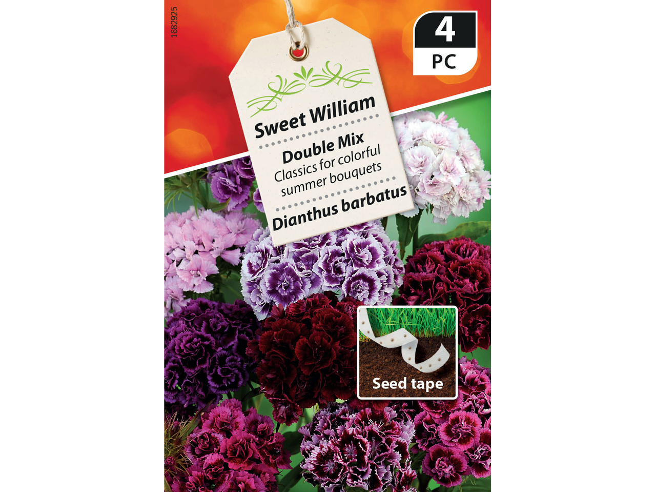 Sweet William Double Mix flower seed tape, 4 pieces, for colorful summer bouquets.