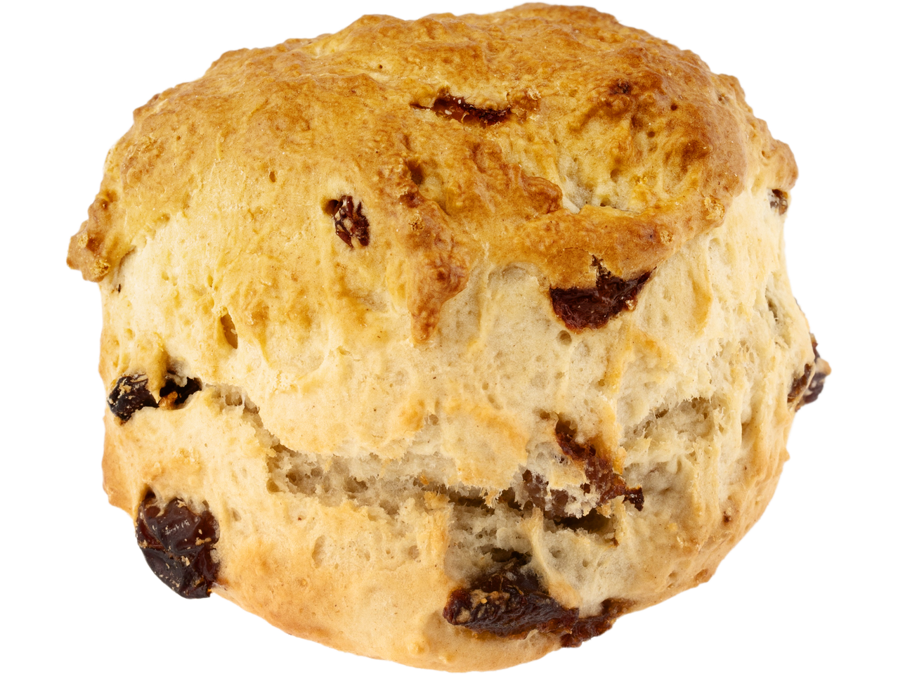 Golden-brown fruit scone with visible raisins