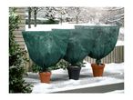 Three potted plants covered with green winter protection fleece on a snowy terrace