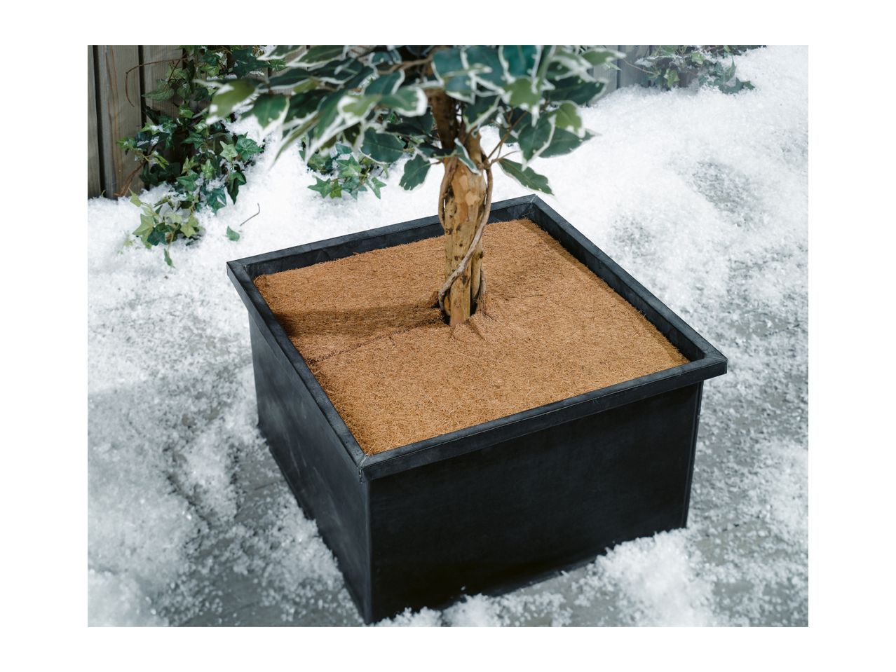 Square coconut mulch mat protecting a potted plant in winter