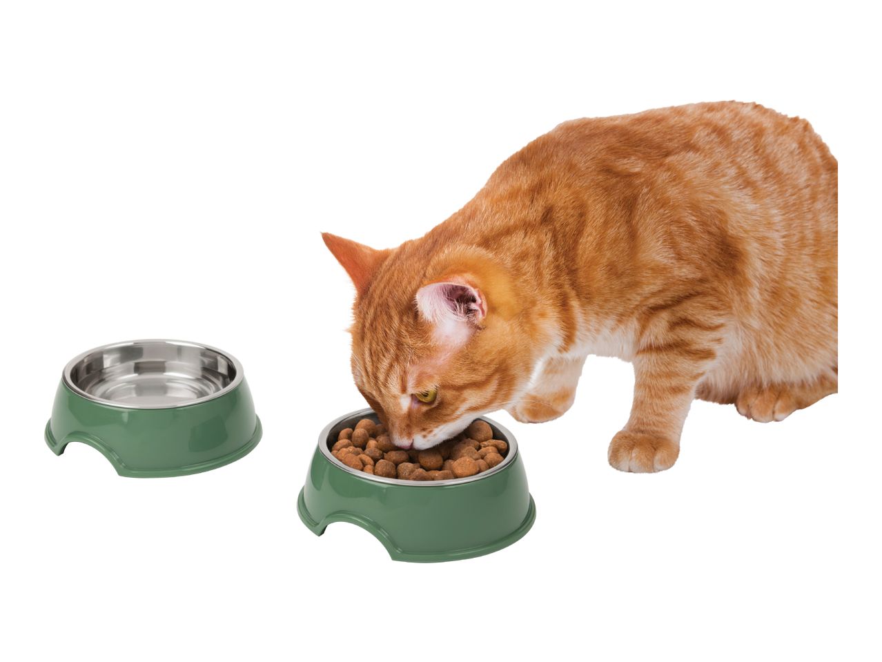 An orange tabby cat eats from a green pet bowl with a stainless steel insert.