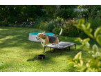 A playful Beagle jumps onto a Zoofari dog bed next to a Zoofari Dog Pool in a sunny garden.