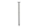 A single, silver-colored nail with a flat head and pointed tip.