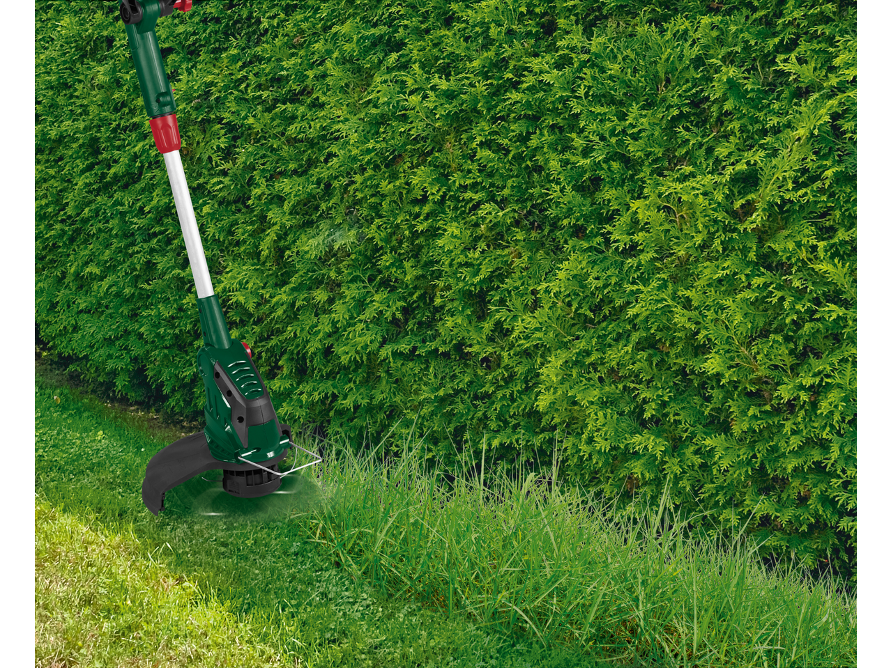 Trimmer electric de iarbă tăind iarba înaltă lângă un gard viu verde.