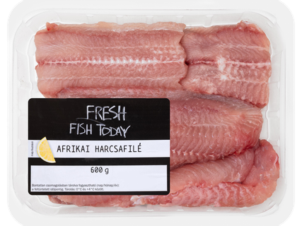 Friss, afrikai harcsafilé