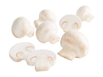 Ciuperci Champignon albe