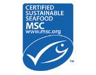 04_msc_logo