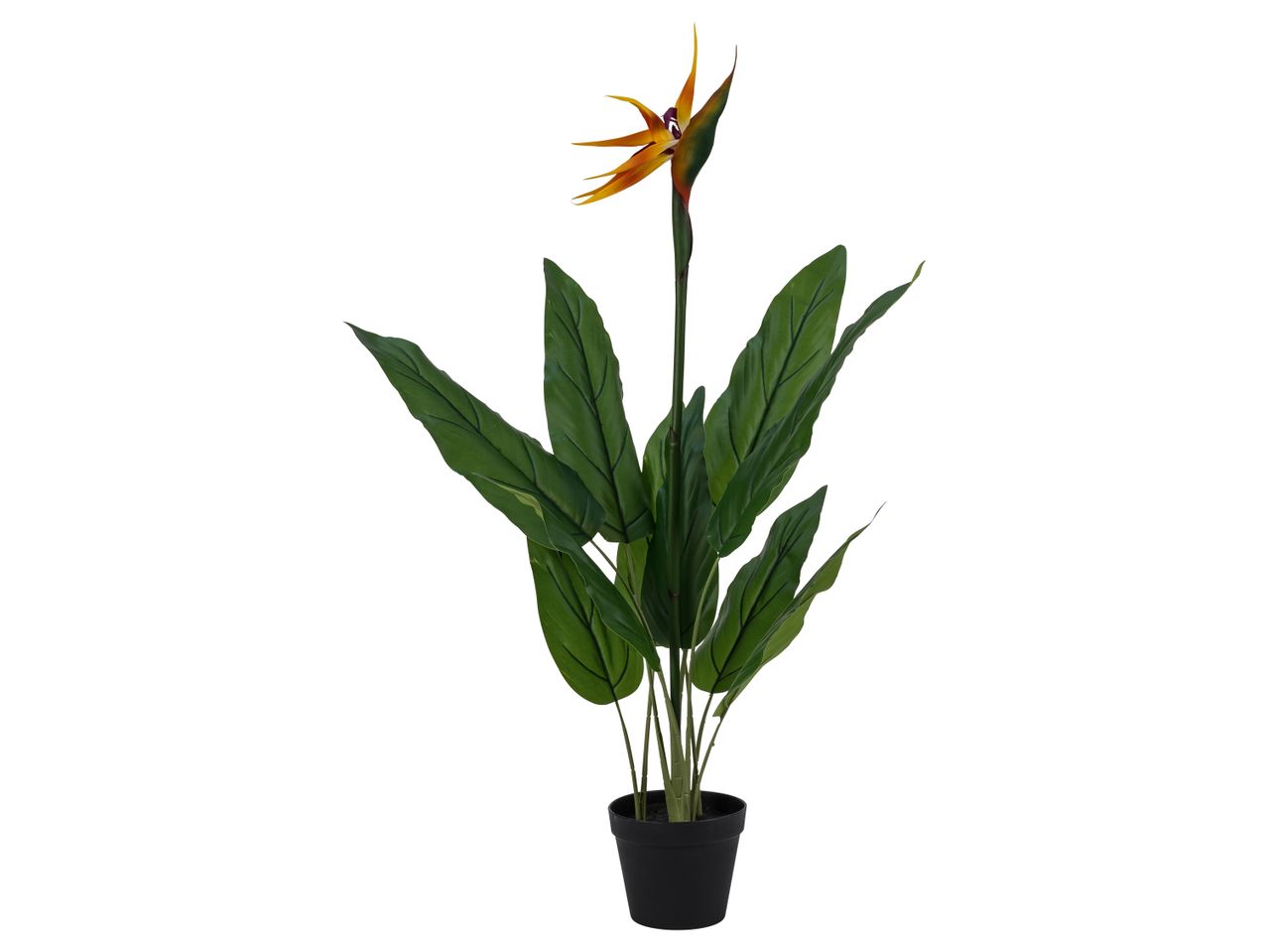 Artificial bird of paradise plant in a black pot.