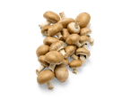 Een bosje bruine cremini champignons.