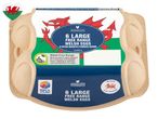 6 large Woodcote free range Welsh eggs, RSPCA Assured.