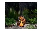 An illuminated owl garden ornament with a baby owl, surrounded by ferns and white pebbles at night.