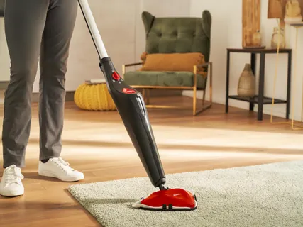 Steam gőztisztító