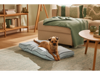 A small brown dog rests on a light blue pet bed in a modern living room.
