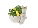 Kalanchoe and chrysanthemum plants in an Easter bunny pot.