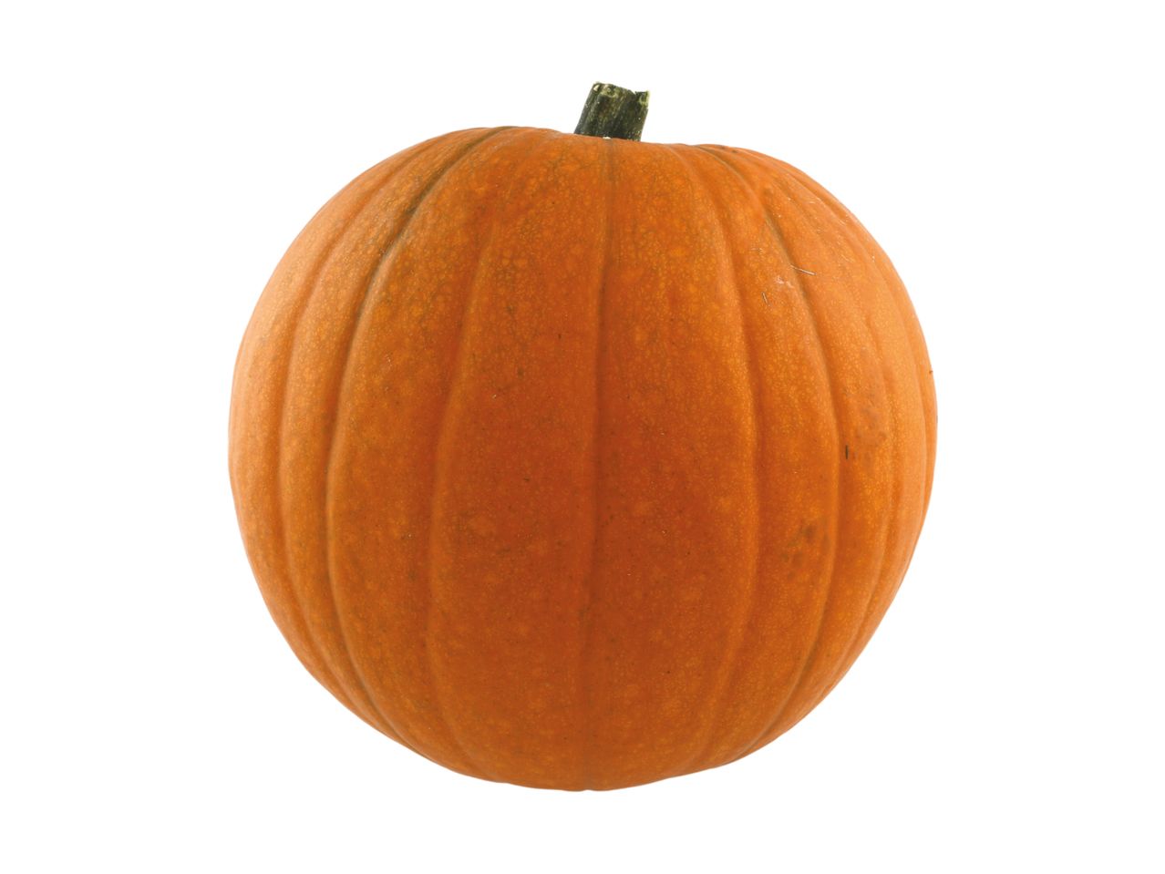 A single, round, orange pumpkin with a short green stem on a white background.