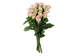 Buquê de rosas rosa claro.